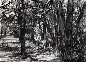 MICHAEL MAZUR (1935 - 2009) The Edge of the Woods.                                                                                               